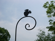 IMGP8595.JPG