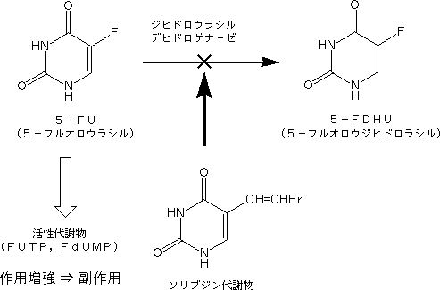 5-FU&sorbzin.jpg