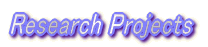 Research Projects