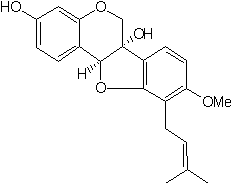 seibun2_5
