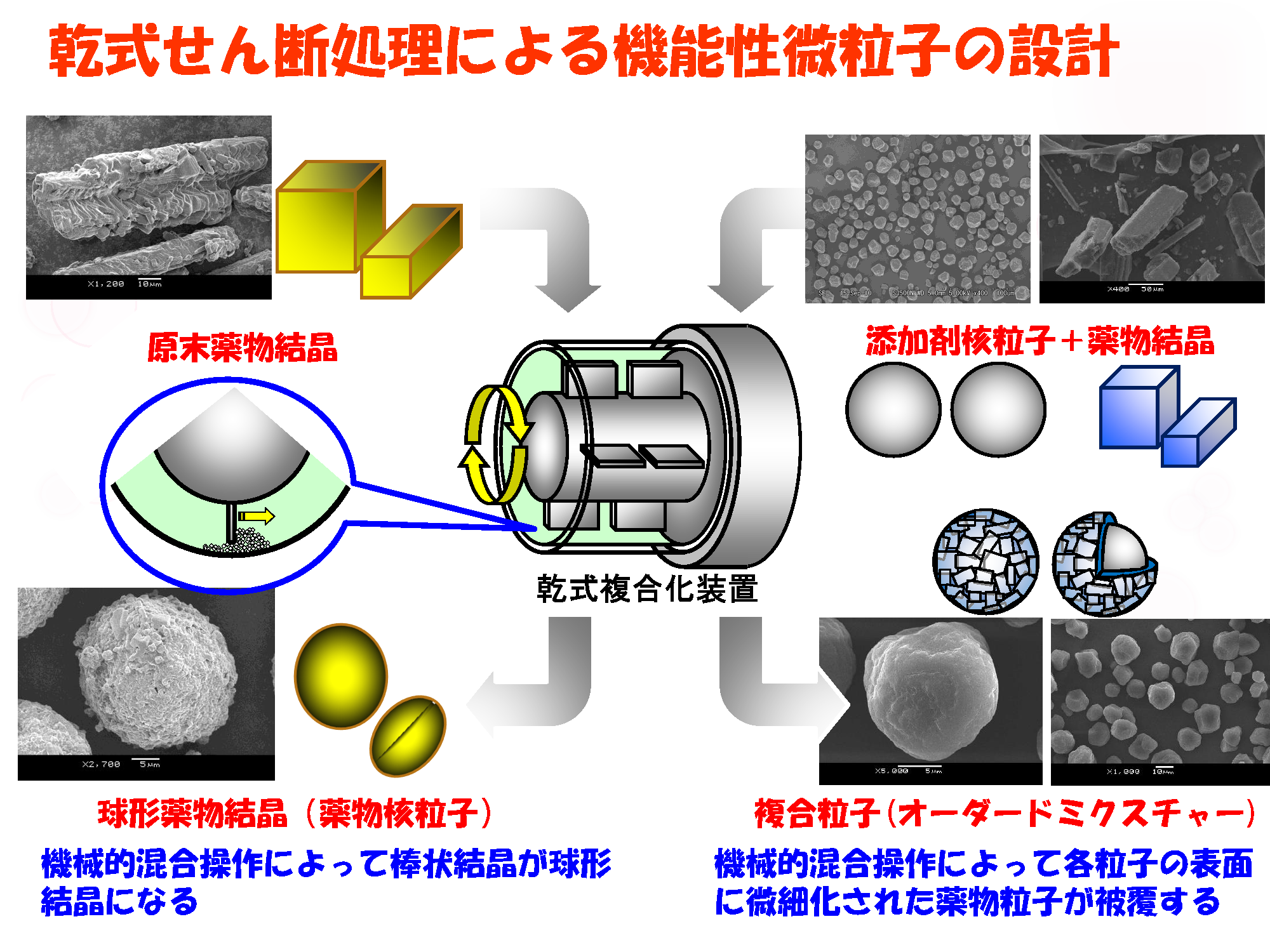研究紹介|製剤学研究室|名城大学 薬学部
